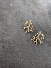 Load image into Gallery viewer, Arrecife Earrings
